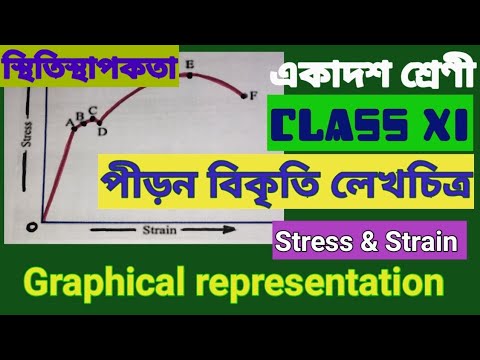 Eshak va fisting videolaridagi ulkan belbogli porno