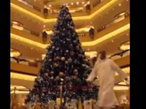 Video: Pema E Krishtlindjeve Që Lulëzon - Për Festat E Vitit Të Ri