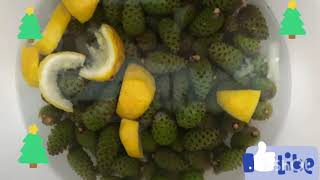 Çam Kozalak Reçeli Şurubu Nasıl Yapılır Kozalak Şurubuçam Kozalağını Faydalarıdoğal Öksürük Şurubu