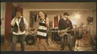 Much Vibe Bluesunderdog Commercial Wealth