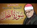 السيد السعيد سورة النحل بدون صوت الجمهور السيد السعيد سورة النحل بدون صوت الجمهور