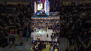 Yellow Light Show Vs Crvena Zvezda