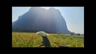 ຫວນຄືນເມືອງເຟືອງ​ //หวนคืนเมืองเฟือง