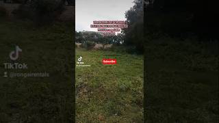 Quarter acre land for sale in Ongata Rongai, Nalepo #foryou #property #roofrightflat #realestate