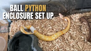 Set Up My Python Enclosure After Cleaning
