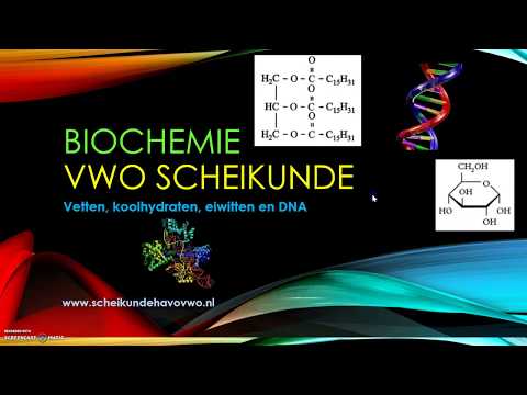 overzicht biochemie vwo scheikunde