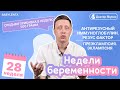 28 неделя беременности - УЗИ, что происходит, как выглядит малыш, шевеления, преэклампсия, эклампсия