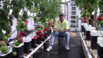 Greenhouse Pollination without Bees