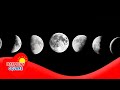 Quiz sobre el Ciclo Lunar