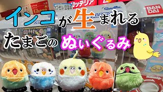 インコのぬいぐるみが生まれるたまごのガチャガチャ！