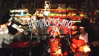 カミナリグモ - 美しい世界