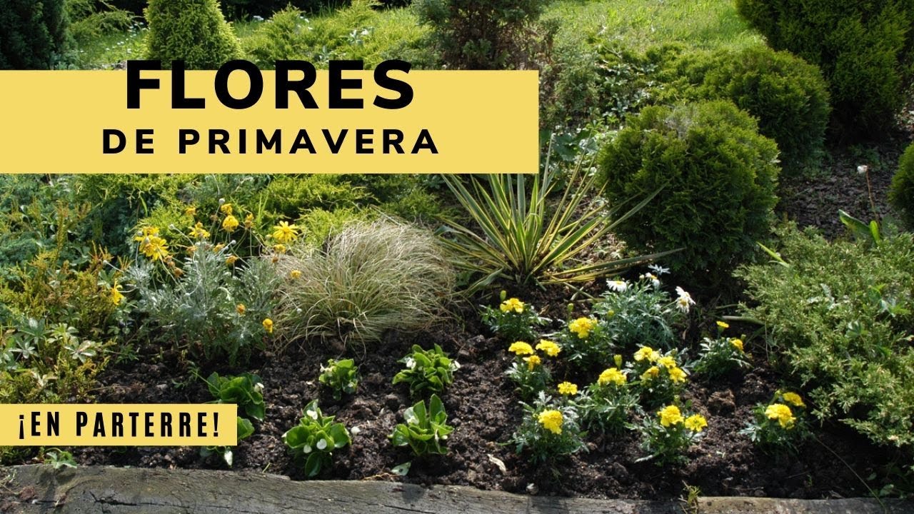 Flores de primavera en parterre - Bricomanía - Jardinatis