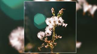 MVVE, Jacob Montague - dusk glow (Official Audio)