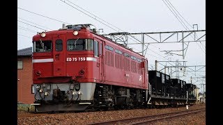 KY入場 ED75-759+ホキ3両