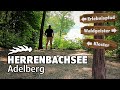 Der Herrenbachsee - Beeindruckender Stausee mit Walderlebnispfad