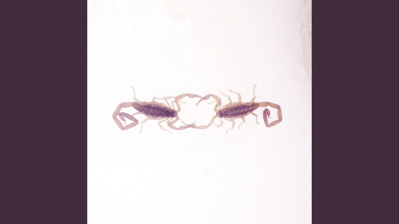 Wasp in a Jar YouTube