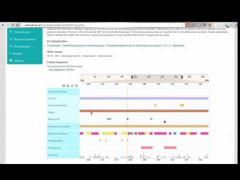 Enzyme pages in the Enzyme Portal