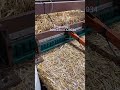Wheat and rye straw Mattress Knitting Machine Reed mat machine Plant mat knitting Machine