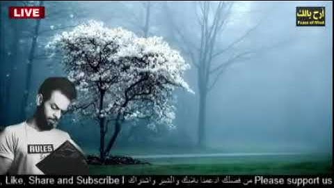 ارح سمعك تلاوة هادئة تريح القلب والعقل, 2023 ، شريف مصطفى