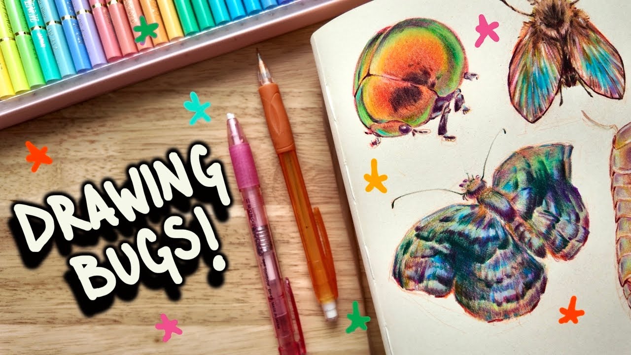 DRAWING BUGS - while I yap your ear off.