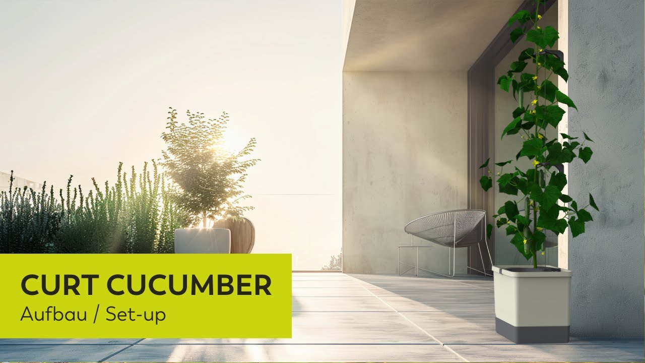CURT CUCUMBER Aufbau / Set-up - Gurkentopf mit Wassertank