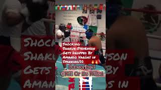 Shakur Stevenson Gets Dropped By Amando Vargas In Sparring 