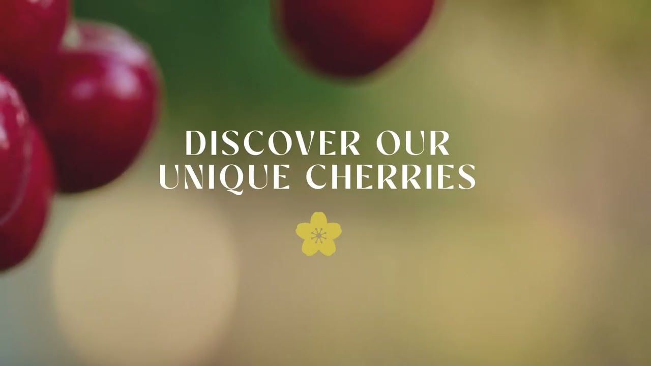 BLOOM FRESH™ Cherries: FIRST & ANYWHERE
