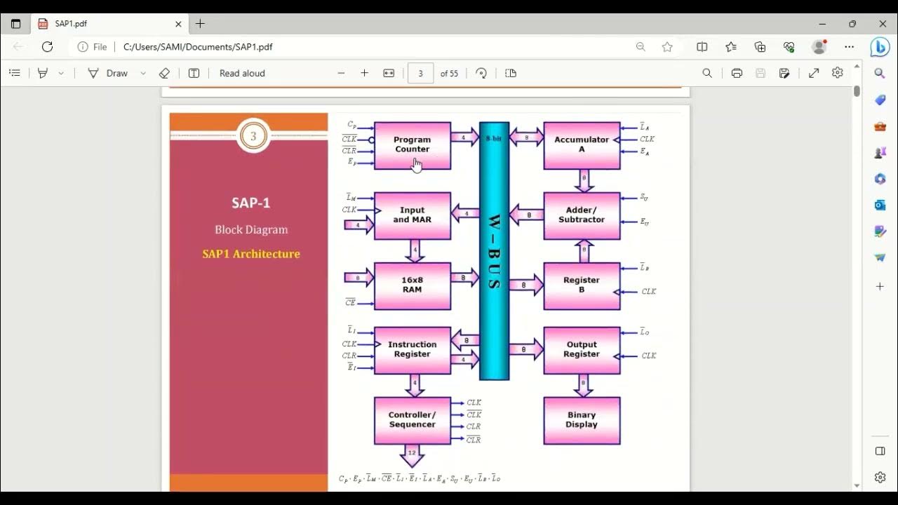SAP 1 Lecture - YouTube