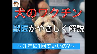 犬の混合ワクチンを獣医がやさしく解説　〜3年に1回でいいの？〜【世界小動物獣医師会のガイドラインを参考に】