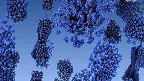 Fractal Zoom Mandelbulb 3D