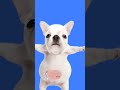 #bulldog #pets #memes 🥰🥰🥰✋