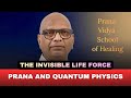 Prana and Quantum Physics| Behind Life| The Invisibly Connecting All Living Beings and the Universe