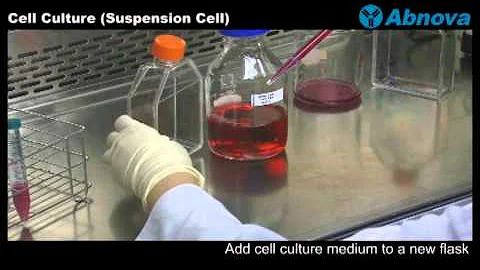 Cell Culture (Suspension Cell) - DayDayNews