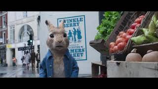 Video thumbnail of "Peter Rabbit 2 The Runaway (2021) Hindi Dubbed"