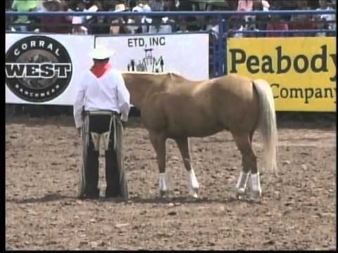 Jerry Wayne Olson, His Golden Palomino "Justin Boo...