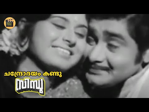 Chandrodayam Kandu  Malayalam Movie Songs  Sindhu P Susheela  P Jayachandran Central Talkies