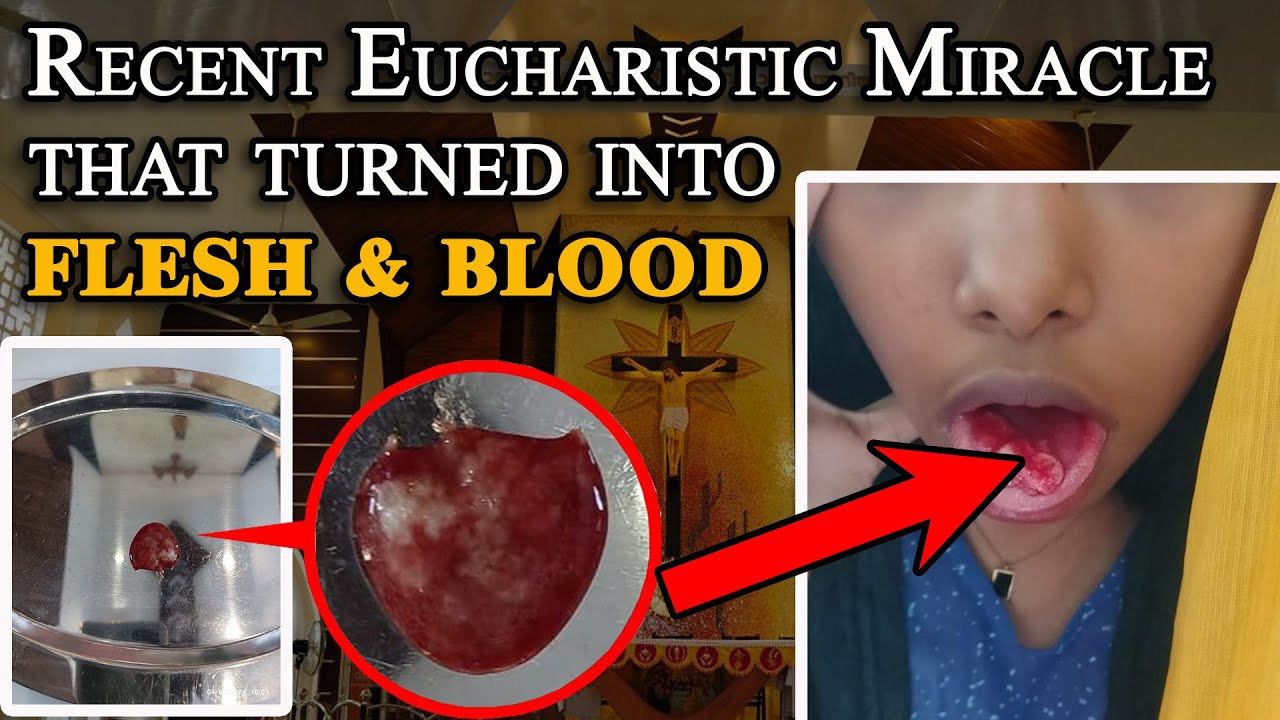 Miracle Blood Rag RECENT Eucharistic Miracle in Kerala, India | Host turned into FLESH ...