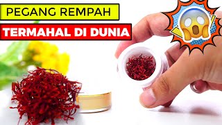 Review Bunga Saffron Kashmir Untuk Kesehatan | Unboxing Saffron