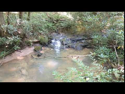 Bubbling Brook on Raven Rock Loop Trail/Natural Bridge Trail - South Carolina