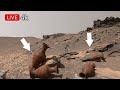NASA Perseverance Rover Latest Images SOL 1829 | Mars Panoramic video | Mars photos | Live Marte