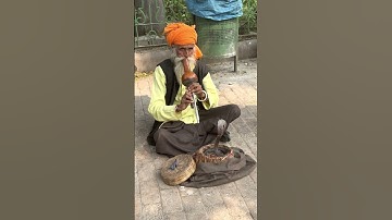 Thumbnail of Snake Charmer in Delhi