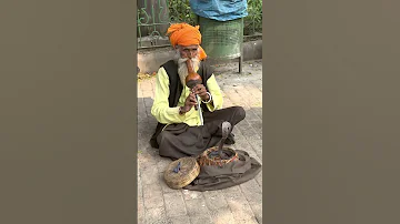 Snake Charmer in Delhi