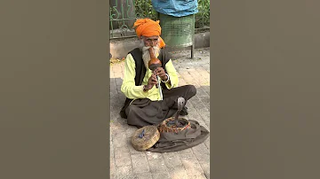 Snake Charmer In Delhi 