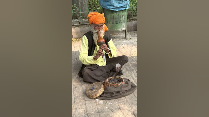 Snake Charmer in Delhi