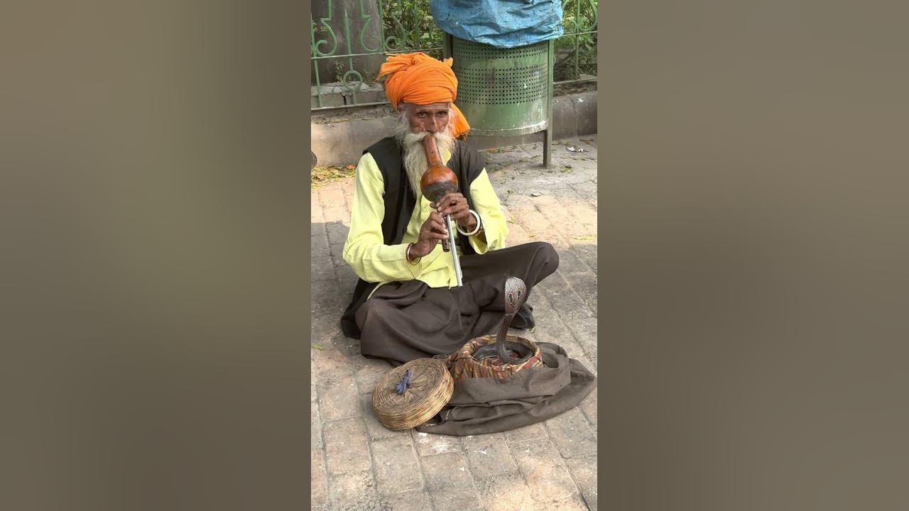 Snake Charmer in Delhi