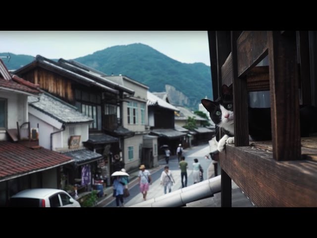 広島 CAT STREET VIEW 第2弾 –竹原編– コンセプトムービー / Hiroshima Cat Street View 2 “Takehara” – Concept Movie