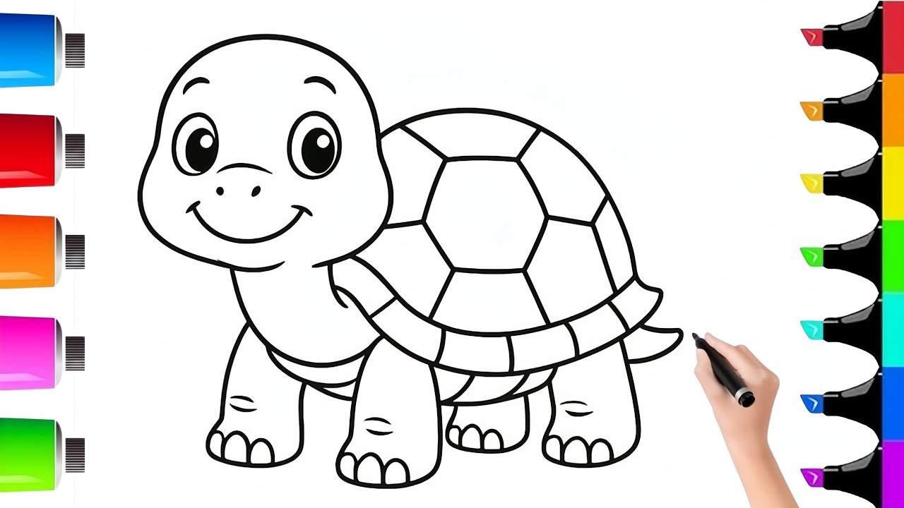 Turtle 🐢 Coloring For Kids || Step By Step Coloring - YouTube