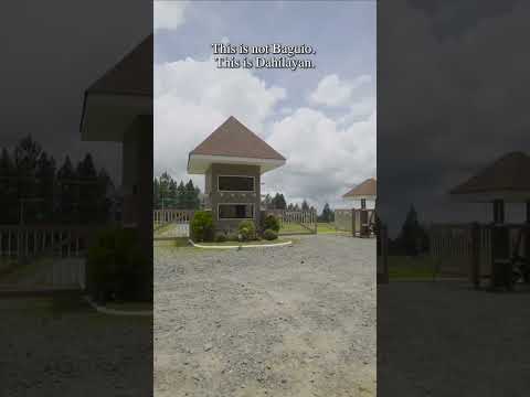 This is not Baguio. This is Dahilayan.