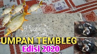 Umpan Tembleg pengumpul ikan mas