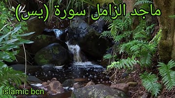 ماجد الزامل سورة (يس) / Majed Al-Zamil sourat yassin